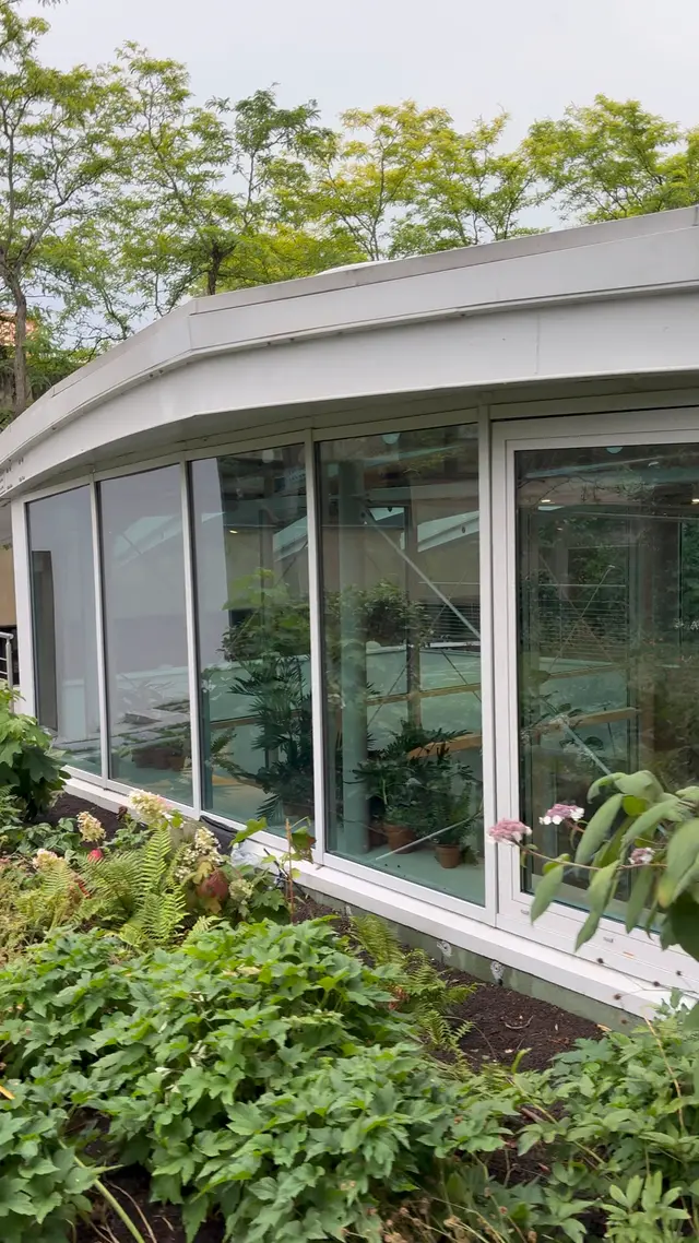 Baies vitrées courbes d'un bâtiment professionnel entouré de verdure, parfaitement transparentes après nettoyage par Mavitre Clean